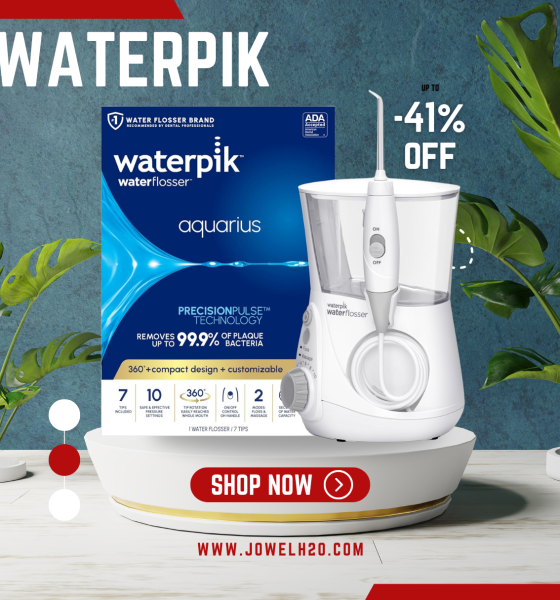 Waterpik Aquarius Water Flosser