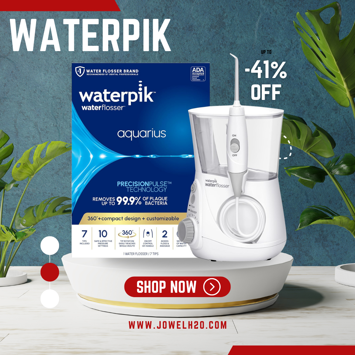 Waterpik Aquarius Water Flosser