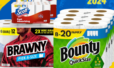 Best Paper Towels 2024: Bounty, Brawny, and Scott Compared